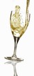 Pouring white wine into a glass