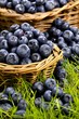 Fresh blueberries in wicker baskets