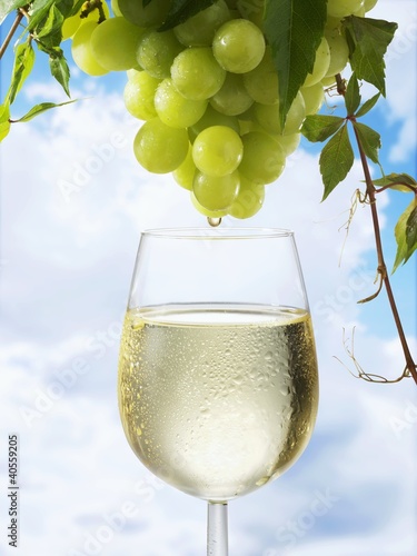 Foto: White wine dripping from grapes into a wine glass White wine dripping from grapes into a wine glass