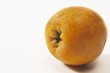A medlar