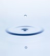 Drop of water falling into water and making ripples