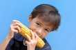 Small boy biting into a corncob