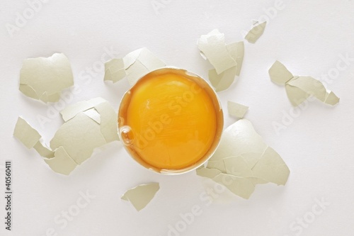 Photo: Raw egg, broken open Raw egg, broken open