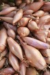 Shallots