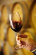 Swirling red wine to test the colour quality