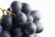 A bunch of black grapes with drops of water