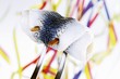 A rollmop speared on a fork