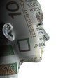 10 zloty face