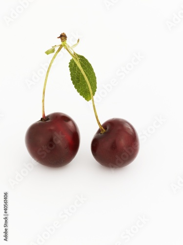 Foto: A pair of cherries with stalks and leaf A pair of cherries with stalks and leaf