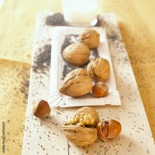 Foto: Hazelnuts, walnuts and poppy seeds with a glass of milk Hazelnuts, walnuts and poppy seeds with a glass of milk