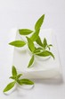 Lemon verbena