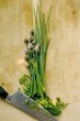 Fresh chives, partly chopped, with knife