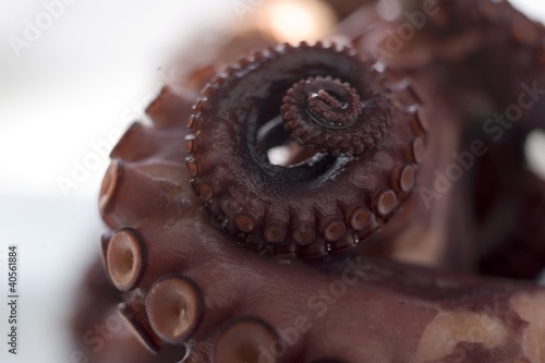 Foto: Smoked octopus Smoked octopus