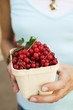 Hands holding cardboard punnet of redcurrants