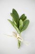 A bunch of fresh sage