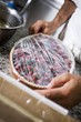 Photo: Covering berry dessert with cling film Covering berry dessert with cling film