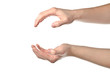 Male hands