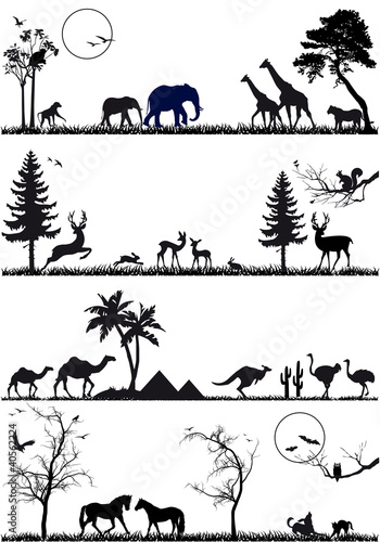 Vector: wildlife animal background set, vector wildlife animal background set, vector