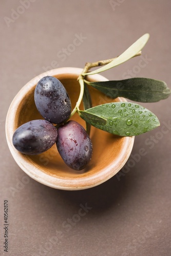 Photo: Olive sprig with black olives in terracotta bowl (overhead) Olive sprig with black olives in terracotta bowl (overhead)