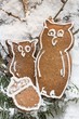 Gingerbread owls and acorn