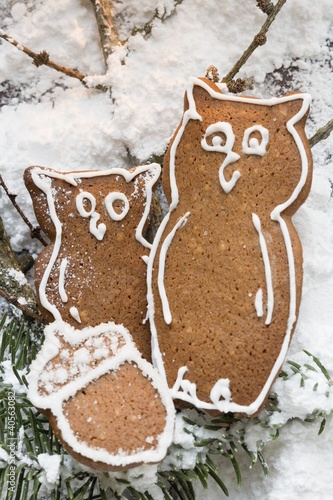 Photo: Gingerbread owls and acorn Gingerbread owls and acorn