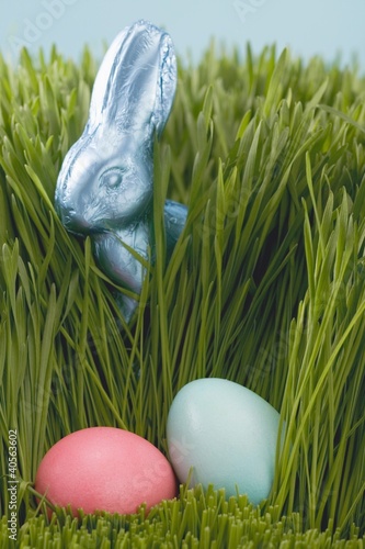 Photo: Easter Bunny and coloured eggs in grass Easter Bunny and coloured eggs in grass