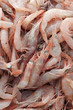 Anzio harbour street market shrimps detail