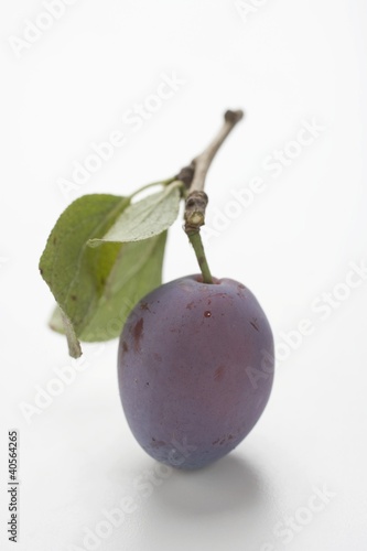 Photo: Plum with stalk and leaves Plum with stalk and leaves
