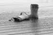 regenwetter