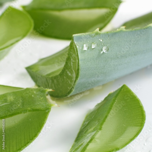 Photo: Aloe vera leaves, cut into pieces (close-up) Aloe vera leaves, cut into pieces (close-up)