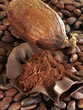 Cocoa fruit, cocoa beans and cocoa powder