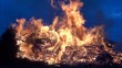Feuer