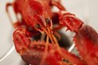 Cooked freshwater crayfish (close-up)