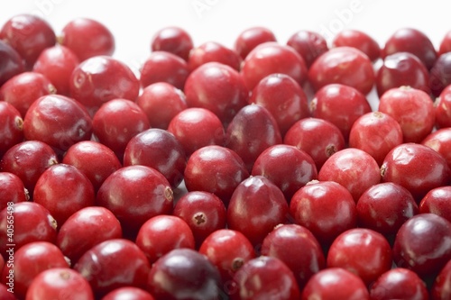 Photo: Cranberries Cranberries