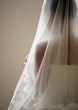 Bride with veil
