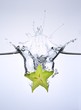 Slice of carambola falling into water