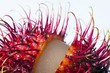 An opened rambutan, close-up