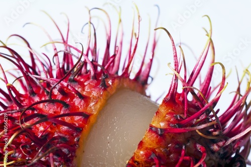 Photo: An opened rambutan, close-up An opened rambutan, close-up
