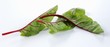 Beetroot leaves