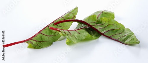 Photo: Beetroot leaves Beetroot leaves