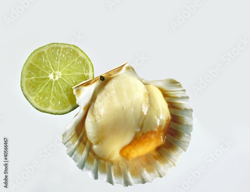 Photo: Scallop in shell, slice of lime Scallop in shell, slice of lime