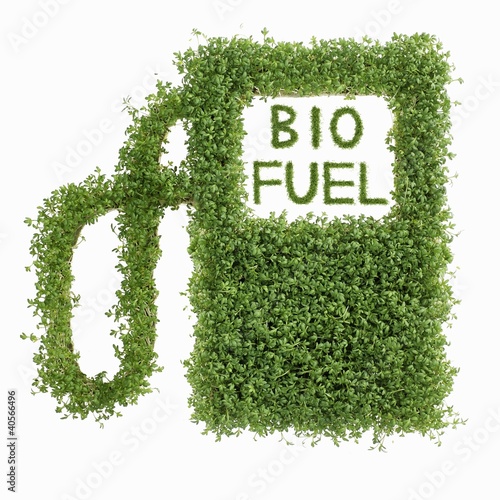 Photo: Image symbolising biofuel (n cress) Image symbolising biofuel (n cress)