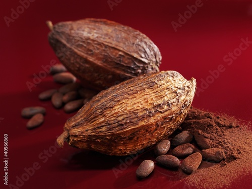 Photo: Cacao fruits, cocoa beans and cocoa powder Cacao fruits, cocoa beans and cocoa powder