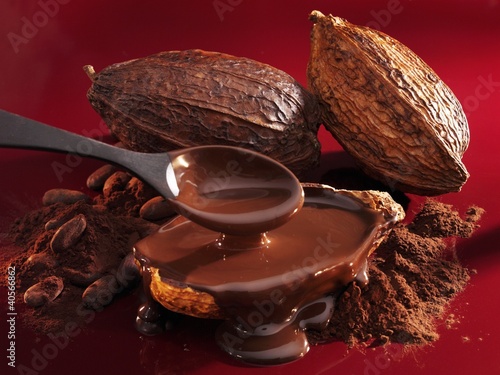 Photo: Chocolate sauce, cocoa powder, cocoa beans and cacao fruits Chocolate sauce, cocoa powder, cocoa beans and cacao fruits