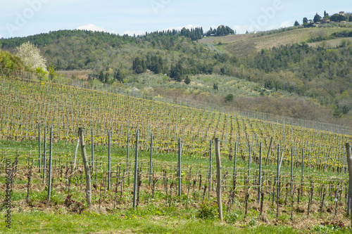 Photo: CAMPAGNA CAMPAGNA