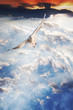 Photo en ligne au meilleur prix Seagull, flying in the sky with my wings.