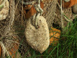 Photo: old fishing nets closeup old fishing nets closeup