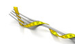 Photo en ligne au meilleur prix Fork with measuring tape