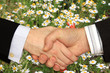 Businessmen shaking hands on the Flower Background