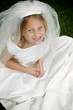 Photo: Wedding Dress Wedding Dress